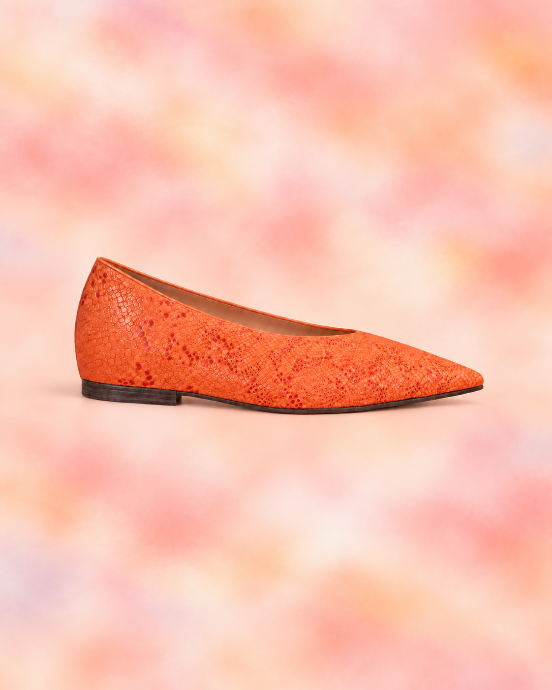 BALLERINA PASCUALA -LIMIT EDICION-